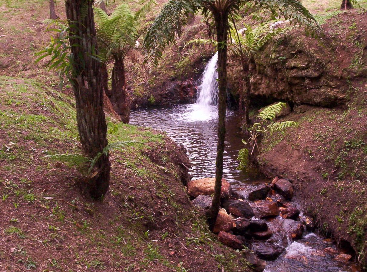 Pousada Do Morro Verde Carvalhos Exterior foto
